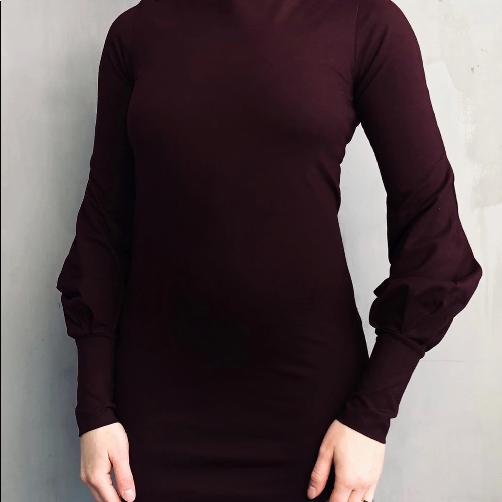 NUIT Clothing Blood Roses Hourglass Tunic with Bishop Sleeves